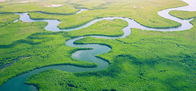 農業灌漑に革命を起こす: PVC パイプと付属品の役割